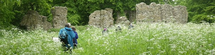 St. James South Elmham